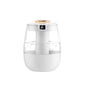 1300ml Aroma Humidifier Double Spray Port USB Water Humidifier with Light